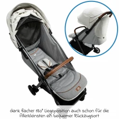 Reisebuggy & Sportwagen Parcel bis 22 kg belastbar nur 6,9 kg leicht mit Liegefunktion inkl. Regenschutz, Adapter & Transporttasche - Signature - Oyster