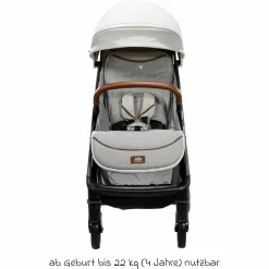 Reisebuggy & Sportwagen Parcel bis 22 kg belastbar nur 6,9 kg leicht mit Liegefunktion inkl. Regenschutz, Insektenschutz, Adapter & Transporttasche - Signature - Oyster
