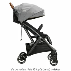 Reisebuggy & Sportwagen Tourist bis 15 kg belastbar nur 6,6 kg leicht mit Liegefunktion inkl. Regenschutz, Adapter, Tragegurt & Tragetasche - Signature - Carbon