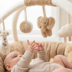 Spieldecke mit Spielbogen Teddy