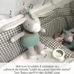 3-tlg. Geschenk-Set zur Geburt Eselchen Exklusiv - Spieluhr + Schmusetuch + Greifling