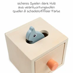 Versteck- & Finde-Box - Nozo