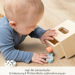 Versteck- & Finde-Box - Nozo